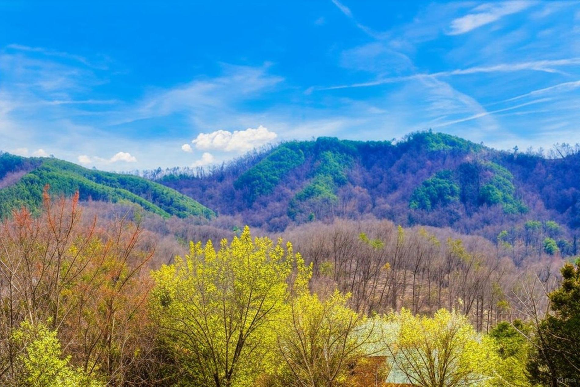 Smoky Bear Lodge With Guest House, Hot Tub, 1089 Free Tickets Each Paid Day, Dollywood And More Sevierville Eksteriør bilde
