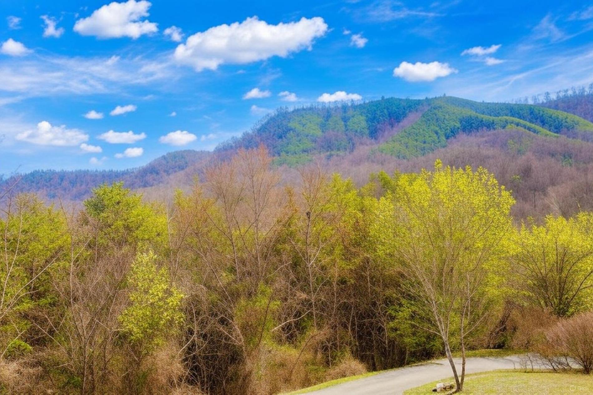 Smoky Bear Lodge With Guest House, Hot Tub, 1089 Free Tickets Each Paid Day, Dollywood And More Sevierville Eksteriør bilde